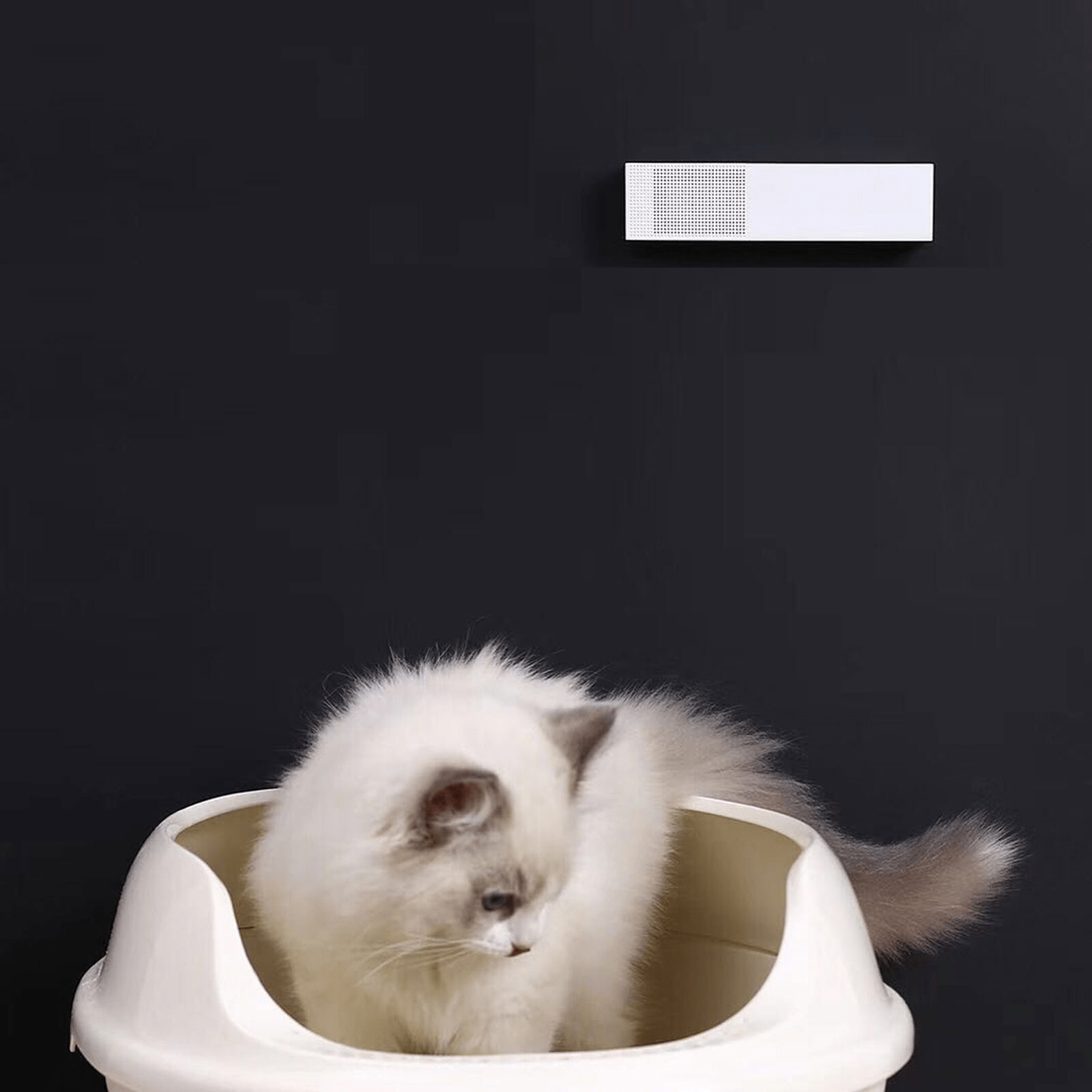 Cat litter box air purifier deals