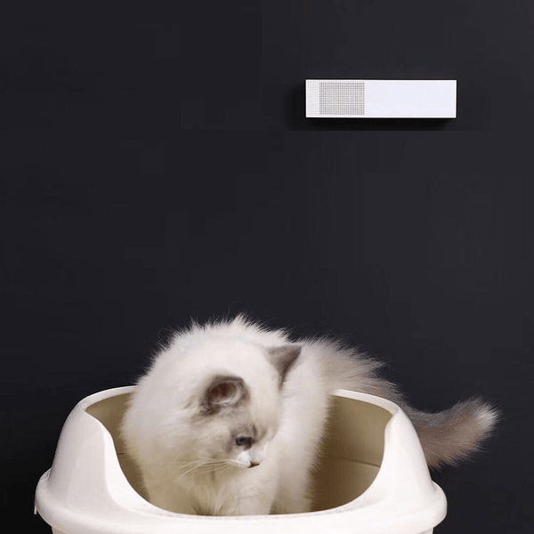 Cat litter top odor air purifier