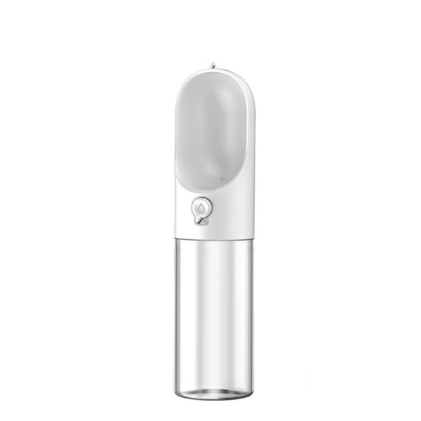Eversweet travel water bottle 2025