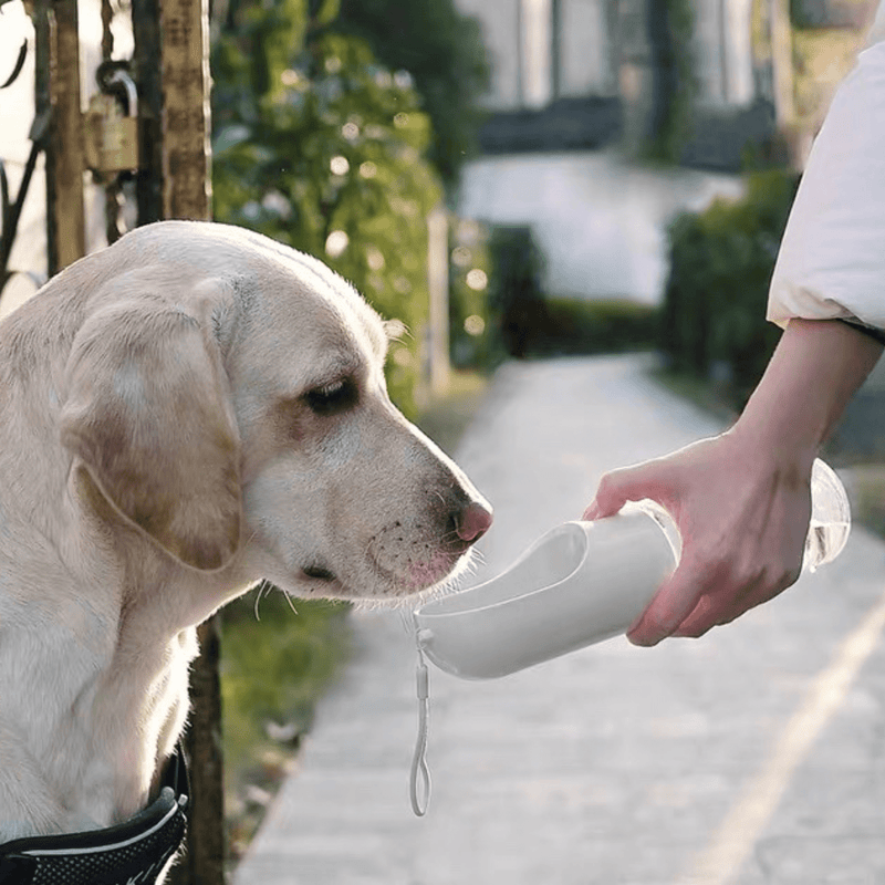 Petkit Pet Bowl Petkit Eversweet V2 Dog Water Bottle Travel Bowl, White