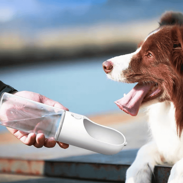 Petkit Eversweet Dog Water Bottle, Portable Drinking Dispenser, White