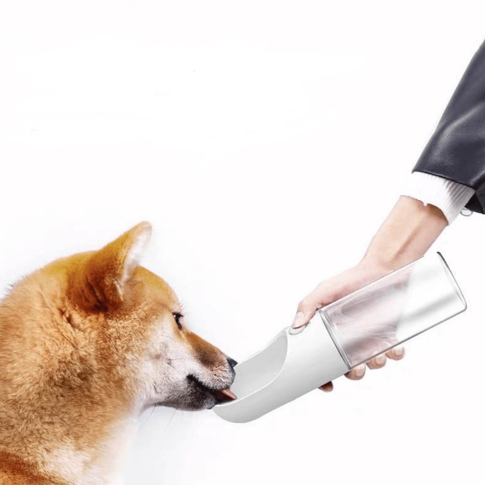 Petkit Pet Bowl Petkit Eversweet V2 Dog Water Bottle Travel Bowl, White