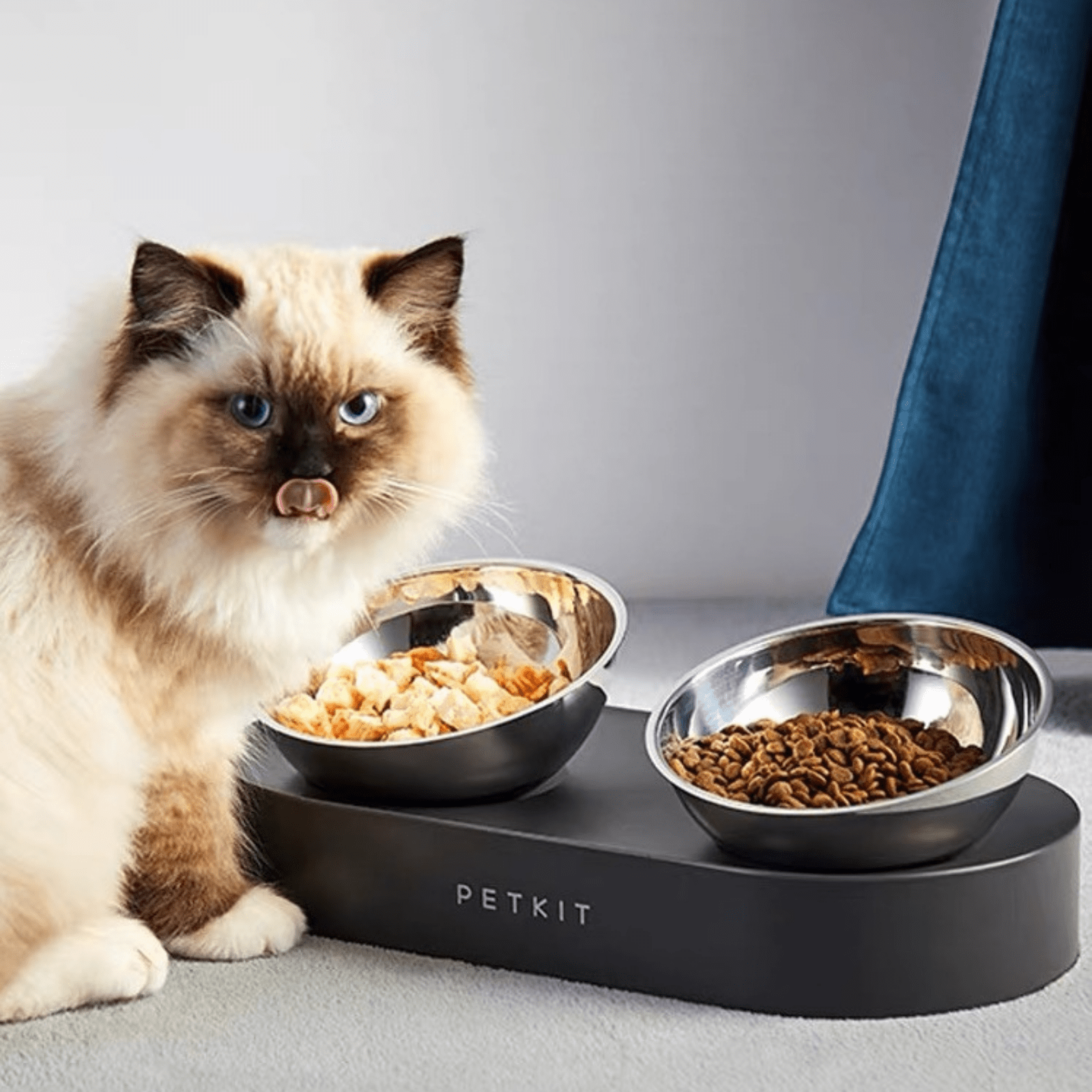 Pet comfort online cat bowls