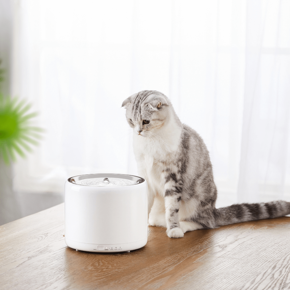 Petkit eversweet pet water fountain sale