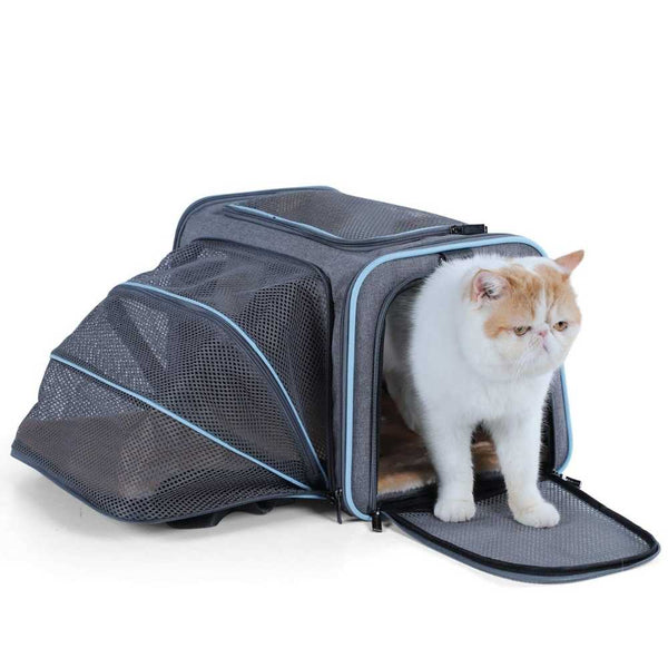 Expandable Soft Pet Carrier with Dual Access Modern Pets