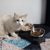 Petwant Pet Bowl Petwant Adjustable Double Raised Cat Bowl, Stainless Steel