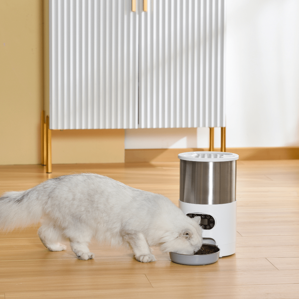 Stainless steel cat 2024 feeder