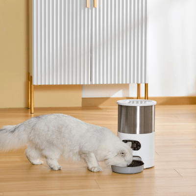 Petwant Pet Feeder Petwant Automatic Pet Feeder Stainless Steel 4.5L