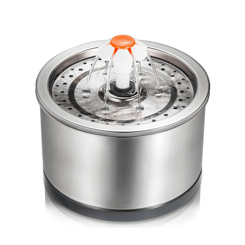 Stainless pet water sales fountain