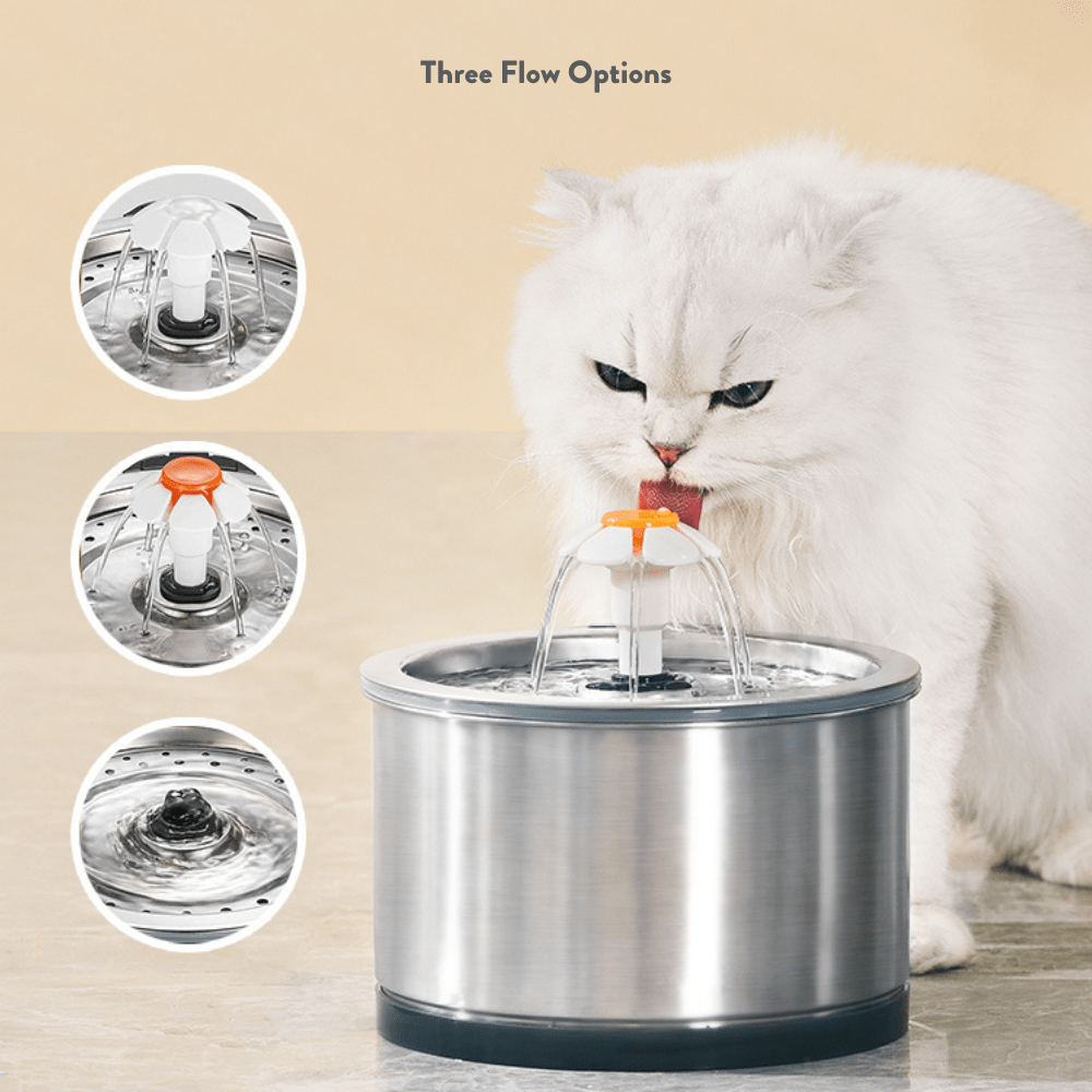 Petwant Pet Fountain Petwant Stainless Steel Cat Water Fountain