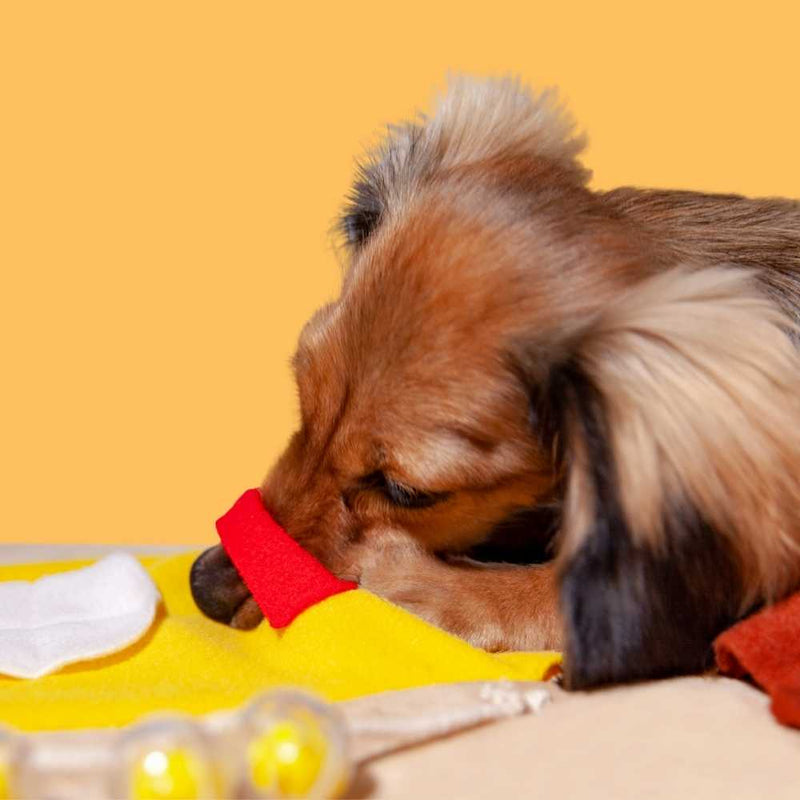Poozpet Dog Toy Happy Meal Snuffle Mat Toy for Pets
