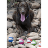 Rogz Dog Toy Rogz Grinz Dog Ball Toy, Blue