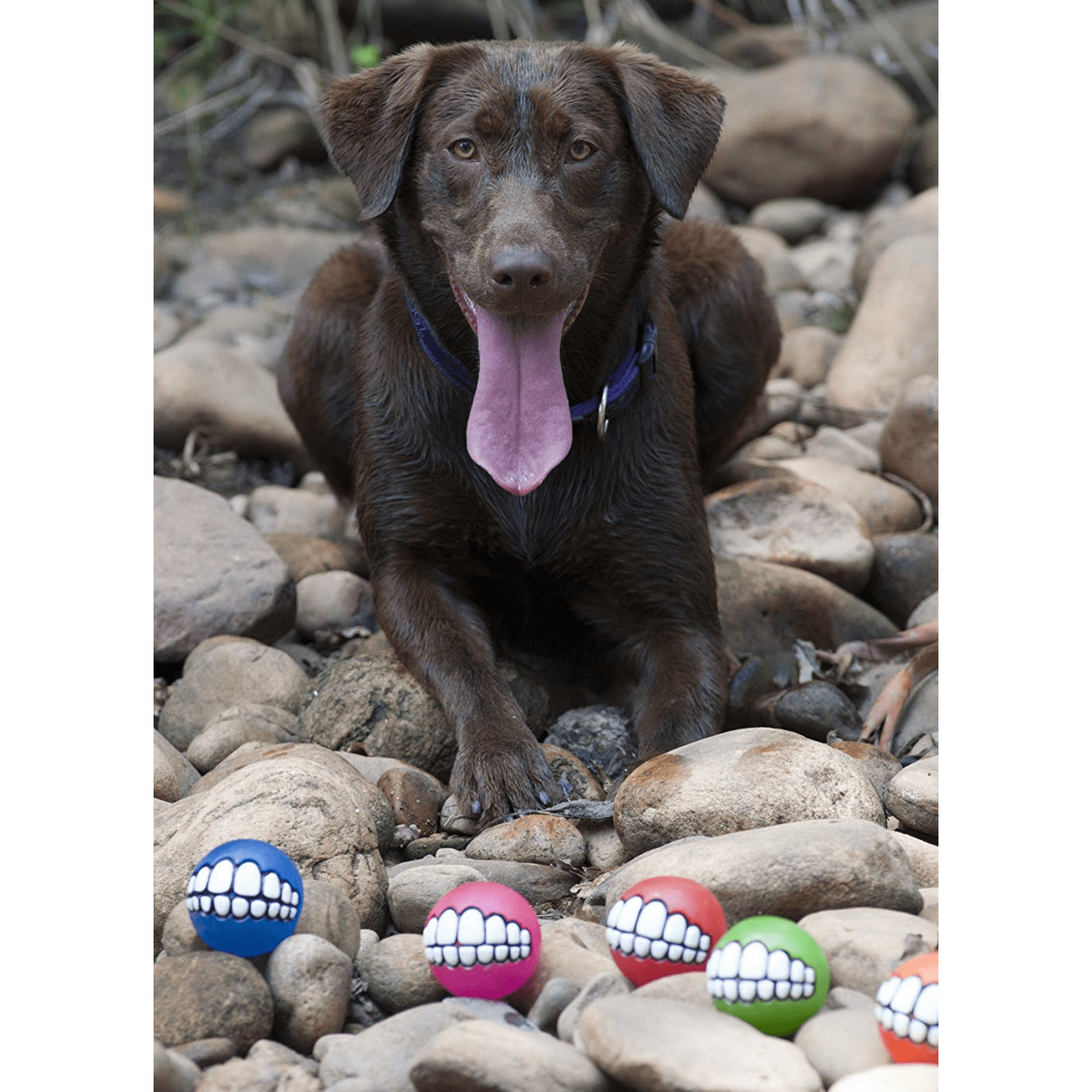 Rogz Dog Toy Rogz Grinz Dog Ball Toy, Blue