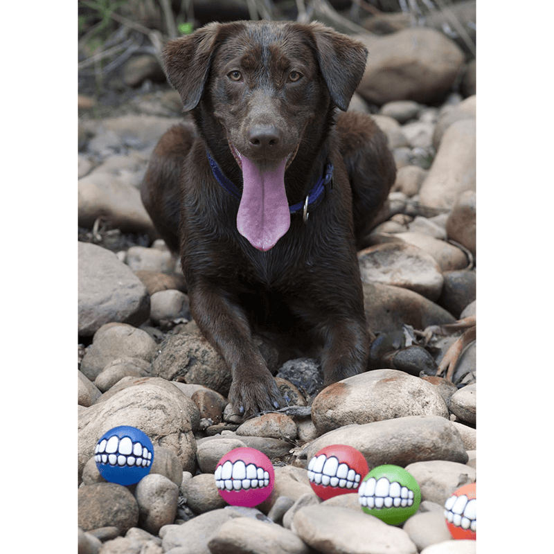 Rogz Dog Toy Rogz Grinz Dog Ball Toy, Blue