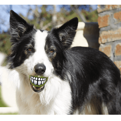 Rogz Dog Toy Rogz Grinz Dog Ball Toy, Lime
