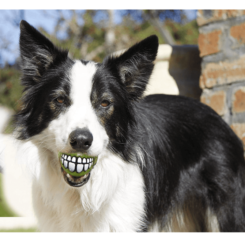 Rogz Dog Toy Rogz Grinz Dog Ball Toy, Lime