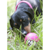 Rogz Dog Toy Rogz Grinz Dog Ball Toy, Pink