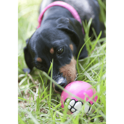 Rogz Dog Toy Rogz Grinz Dog Ball Toy, Pink