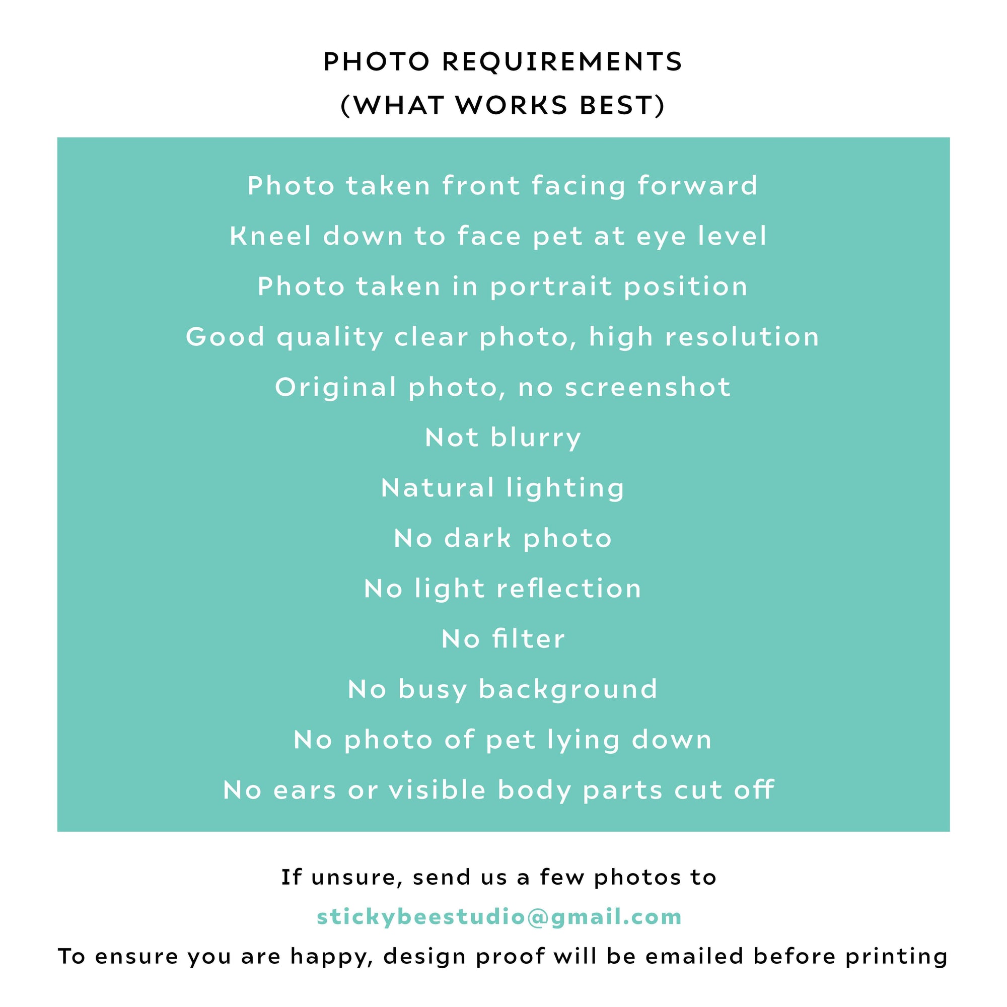 Sticky Bee Studio Pet Portrait Custom Pet Portrait