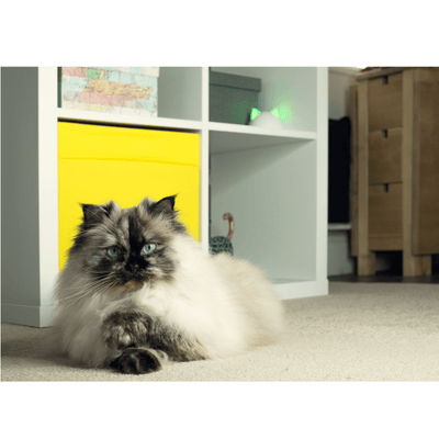 Sure Petcare Containment Sureflap Connect Hub