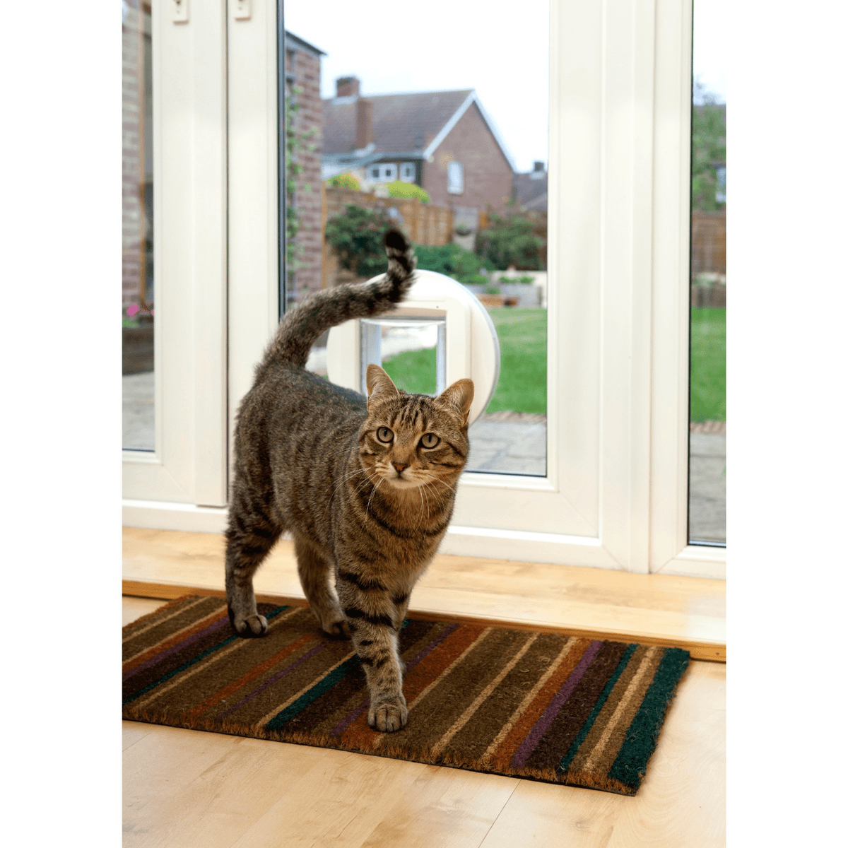 Sureflap Microchip Cat Flap Door Modern Pets