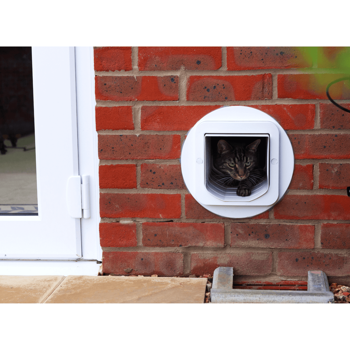 Cat Door For Wall Smart Dog Door SureFlap Microchip Cat Flap White
