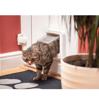 Sure Petcare Containment Sureflap Microchip Cat Flap Door