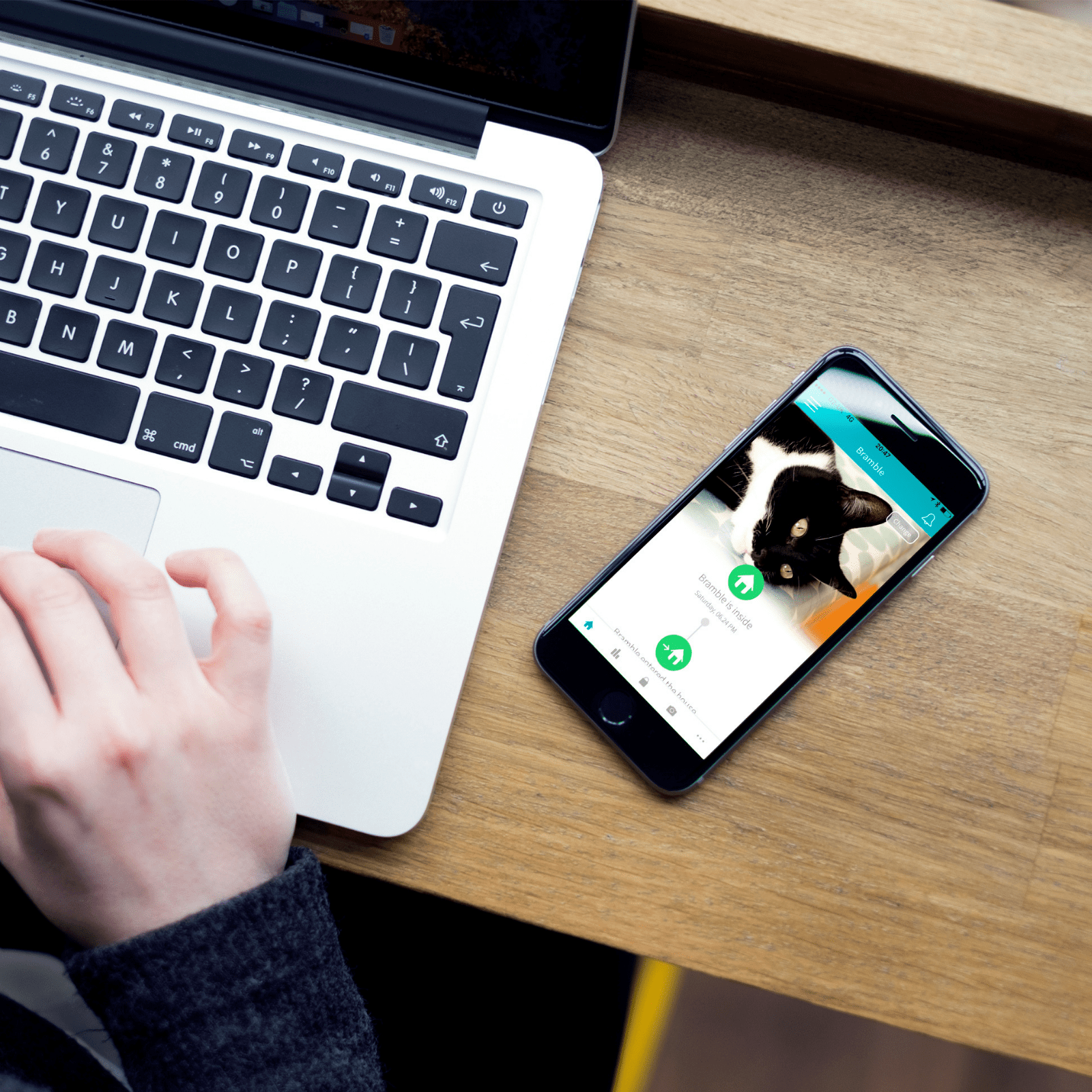 Sure Petcare Containment Sureflap Microchip Cat Flap Door