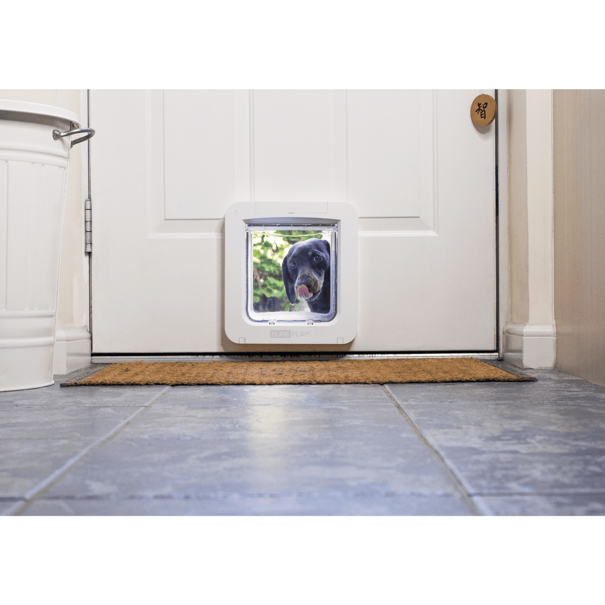 Sureflap Microchip Pet Door Connect, Suitable for Cats & Small Dogs