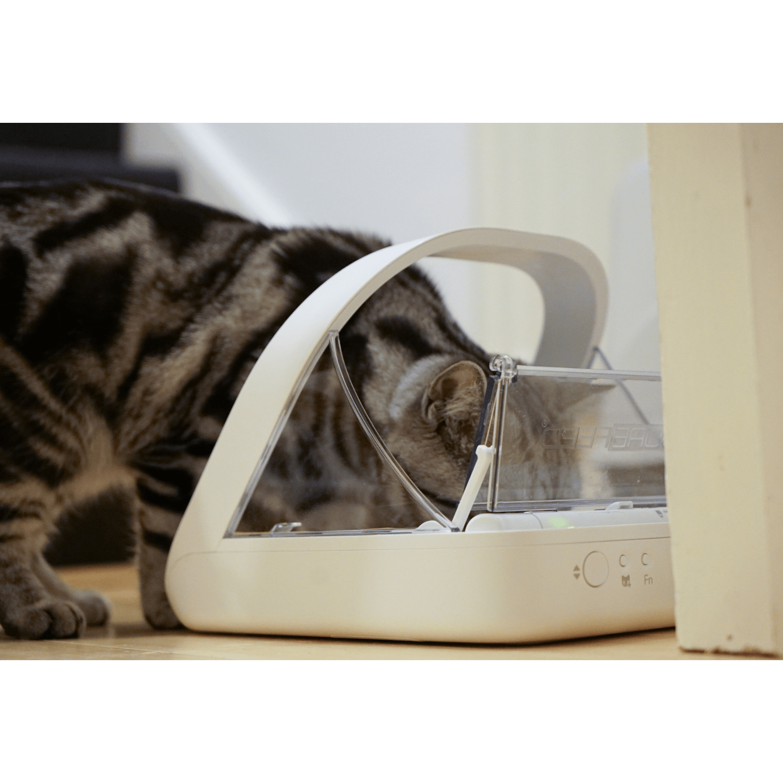 Microchip controlled cat deals feeder