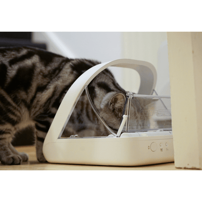 Microchip activated food bowl hot sale