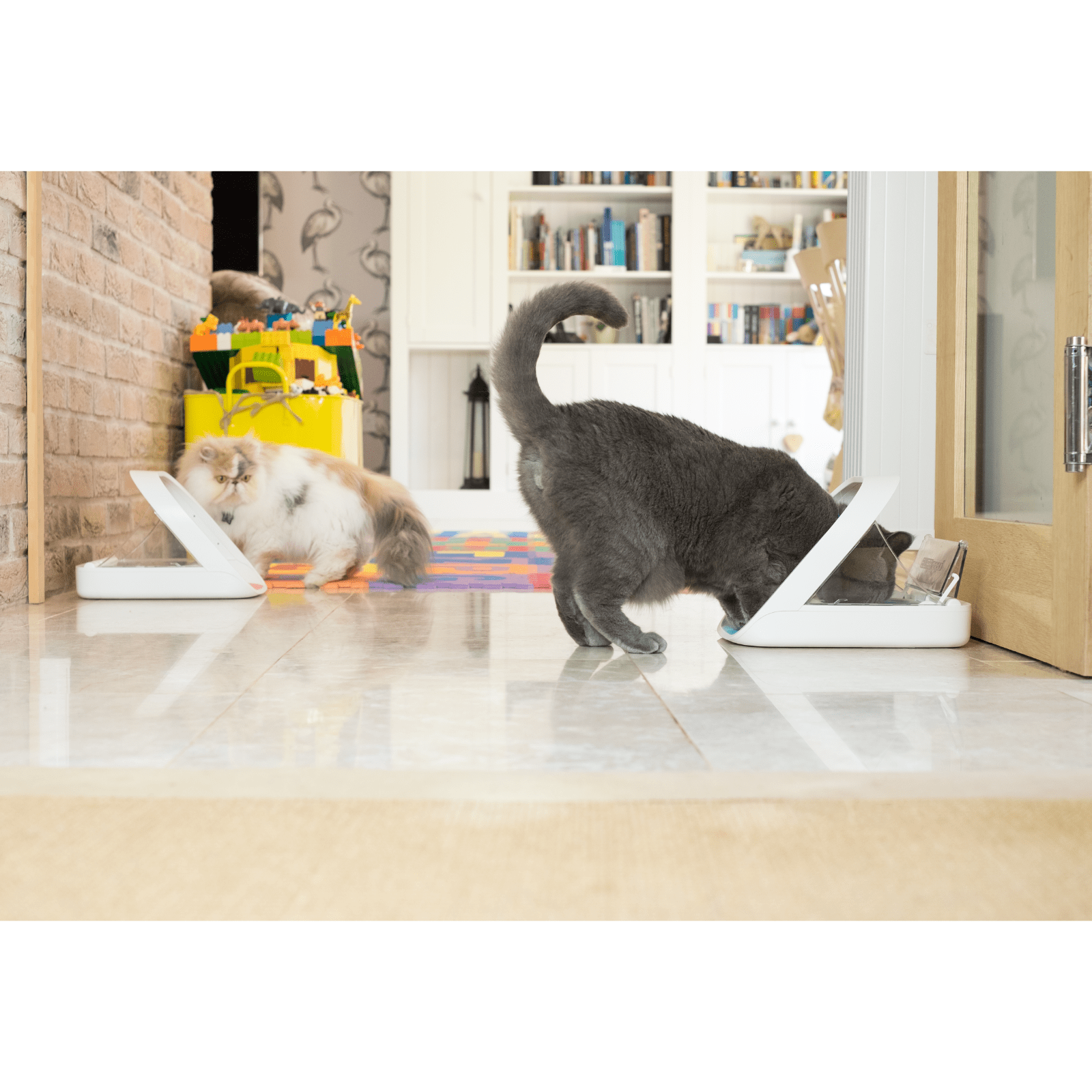 Sure Petcare Pet Feeder Surefeed Microchip Pet Feeder, Smart Feeding Bowl for Dogs & Cats