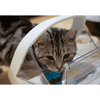 Sure Petcare Pet Feeder Surefeed Microchip Pet Feeder, Smart Feeding Bowl for Dogs & Cats