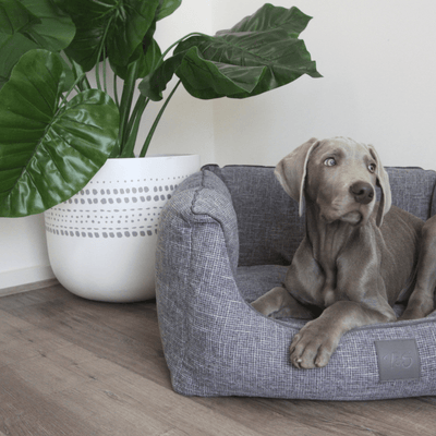 T&S Products Dog Bed T&S Sorrento Ash Grey Luxury Dog Bed