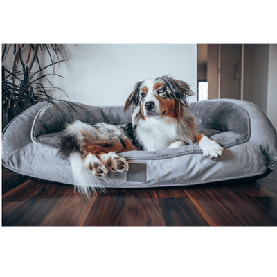 T&S Products Pet Bed T&S Designer Portsea Lounge Dog Bed, Light Grey