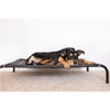 T&S Products Pet Bed T&S Elevated Dog Bed, Black