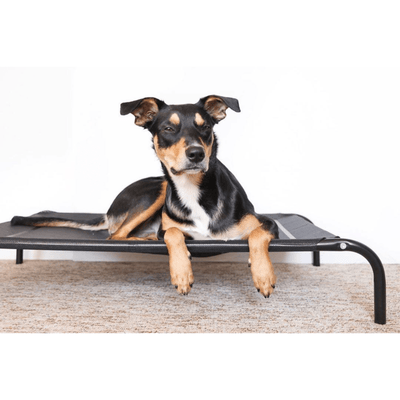 T&S Products Pet Bed T&S Elevated Dog Bed, Black