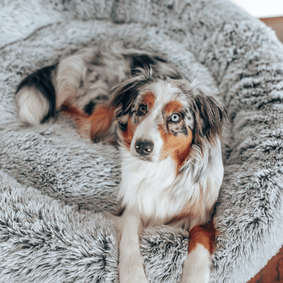 T&S Products Pet Bed T&S Grey Polar Bed, Round Pet Bed