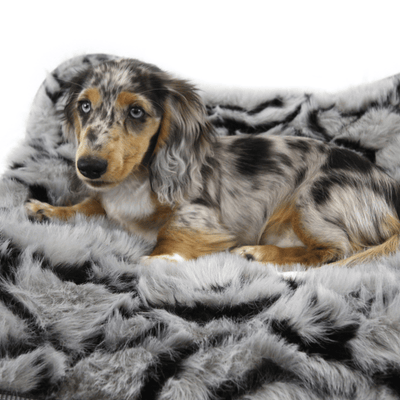 T&S Products Pet Bed T&S Nordic Butterfly Elevated Dog Bed