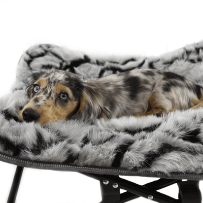 T&S Products Pet Bed T&S Nordic Butterfly Elevated Dog Bed