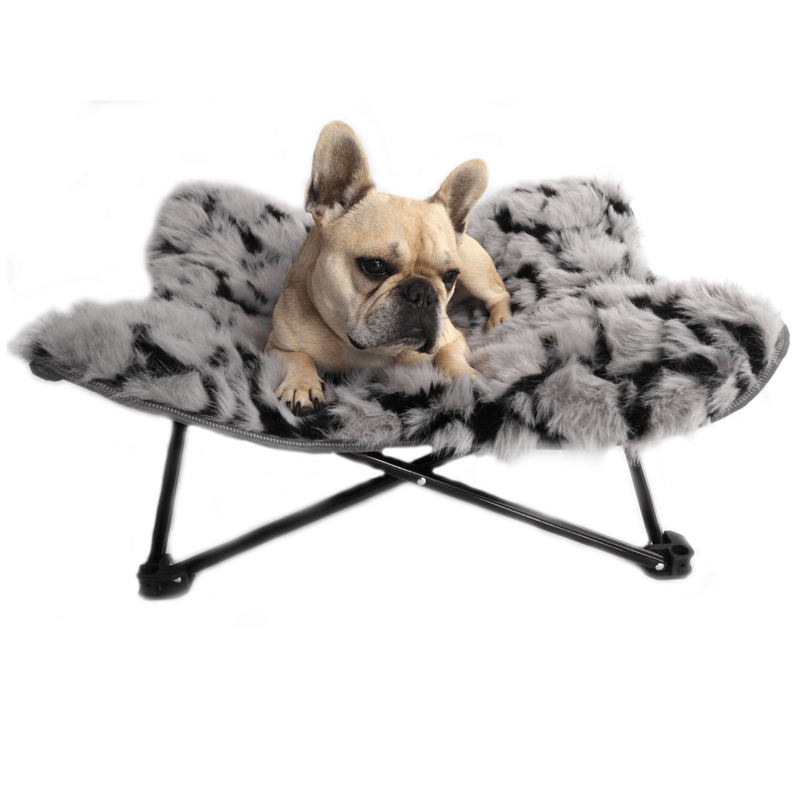 Elevated Wicker Dog Beds Online Shop Now Modern Pets