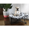 T&S Products Pet Bed T&S Nordic Butterfly Elevated Dog Bed