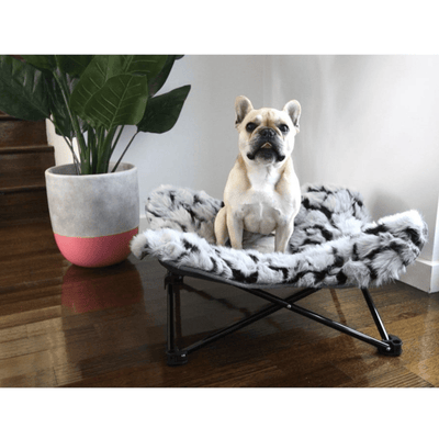 T&S Products Pet Bed T&S Nordic Butterfly Elevated Dog Bed