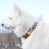 Woof Concept Dog Collar Woof Concept Premium Dog Collar, Sharp