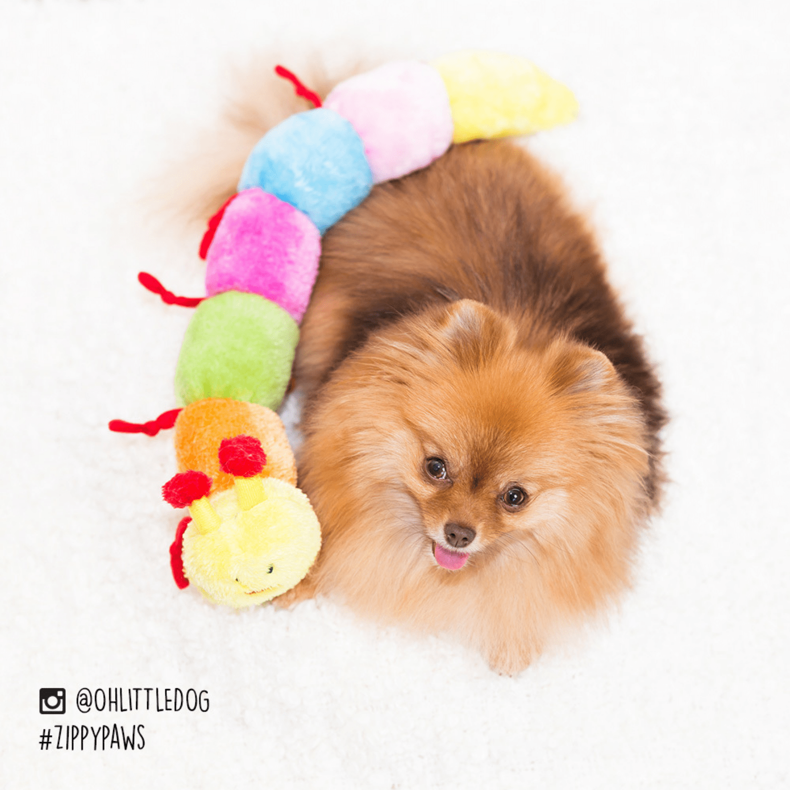 No stuffing dog 2024 toys